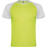 Camiseta Entrenamiento de Balonmano ROLY Indianapolis CA6650-22201