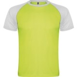 Camiseta Entrenamiento de Balonmano ROLY Indianapolis CA6650-22201