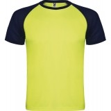 Camiseta Entrenamiento de Balonmano ROLY Indianapolis CA6650-22155