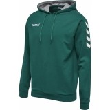 Sudadera de Balonmano HUMMEL Core Cotton Hoodie 033451-6140