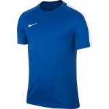 Camiseta Entrenamiento de Balonmano NIKE Dry Squad 17 TOP SS 831567-463