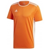 Camiseta de Balonmano ADIDAS Entrada 18 CD8366