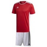 Equipacin de Balonmano ADIDAS Entrada 18 P-CF1038