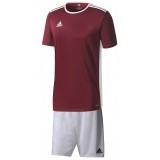 Equipacin de Balonmano ADIDAS Entrada 18 P-CD8430