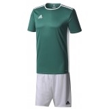 Equipacin de Balonmano ADIDAS Entrada 18 P-CD8358