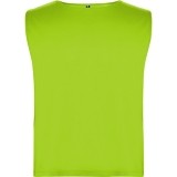 Peto de Balonmano ROLY Peto PT0414-222