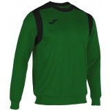 Sudadera de Balonmano JOMA Champion V 101266.451