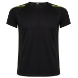 Camiseta Entrenamiento de Balonmano ROLY Sepang xhkxdk