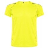 Camiseta Entrenamiento de Balonmano ROLY Sepang gfhkfgck