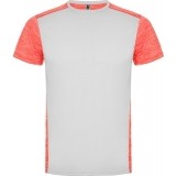 Camiseta Entrenamiento de Balonmano ROLY Zolder CA6653-01244