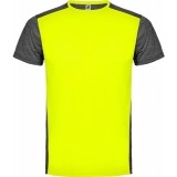 Camiseta Entrenamiento de Balonmano ROLY Zolder CA6653-221243