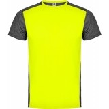 Camiseta Entrenamiento de Balonmano ROLY Zolder CA6653-221243