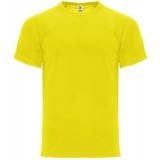 Camiseta Entrenamiento de Balonmano ROLY Monaco CA6401-03