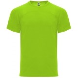 Camiseta Entrenamiento de Balonmano ROLY Monaco CA6401-225