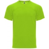 Camiseta Entrenamiento de Balonmano ROLY Monaco CA6401-225