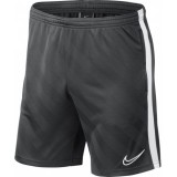 Bermuda de Balonmano NIKE Academy 19 BQ5810-060