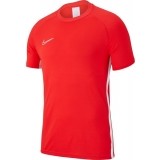 Camiseta Entrenamiento de Balonmano NIKE Academy 19 AJ9088-671