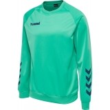 Sudadera de Balonmano HUMMEL Promo 205874-6507