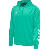 Sudadera de Balonmano HUMMEL Promo Hoodie 208317-6507