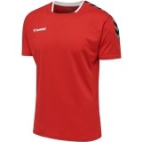 Camiseta de Balonmano HUMMEL HmlAuthentic Poly 204919-3062