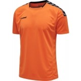 Camiseta de Balonmano HUMMEL HmlAuthentic Poly 204919-5006