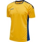 Camiseta de Balonmano HUMMEL HmlAuthentic Poly 204919-5167