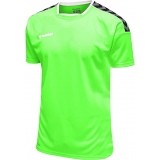 Camiseta de Balonmano HUMMEL HmlAuthentic Poly 204919-6750