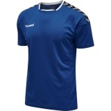 Camiseta de Balonmano HUMMEL HmlAuthentic Poly 204919-7045