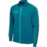 Chaqueta Chndal de Balonmano HUMMEL HmlAuthentic Poly Zip 205366-8745