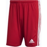 Calzona de Balonmano ADIDAS Squadra 21 GN5771