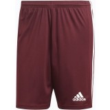 Calzona de Balonmano ADIDAS Squadra 21 GN8083