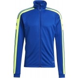 Chaqueta Chndal de Balonmano ADIDAS Squadra 21 Training GP6466