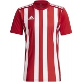 Camiseta de Balonmano ADIDAS Striped 21 GN7624