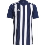 Camiseta de Balonmano ADIDAS Striped 21 GN5847