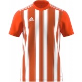 Camiseta de Balonmano ADIDAS Striped 21 H35642