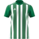 Camiseta de Balonmano ADIDAS Striped 21 H35644