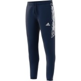 Pantaln de Balonmano ADIDAS Condivo 21 Track  GE5416