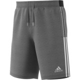 Bermuda de Balonmano ADIDAS TIro 21 Sweat Short GP8808