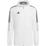 Chubasquero de Balonmano ADIDAS Tiro 21 Cortavientos GP4966