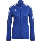 Chaqueta Chndal de Balonmano ADIDAS Tiro 21 Training Jacket GM7304