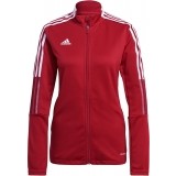 Chaqueta Chndal de Balonmano ADIDAS Tiro 21 Training Jacket GM7305