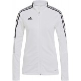 Chaqueta Chndal de Balonmano ADIDAS Tiro 21 Training Jacket GM7302