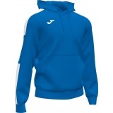 Sudadera de Balonmano JOMA Championship IV 102103.702