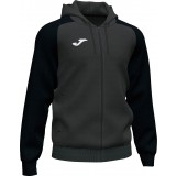 Chaqueta Chndal de Balonmano JOMA Academy IV Capucha 101967.151