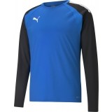 Sudadera de Balonmano PUMA Liga Training Sweat 657238-02