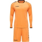 Conjunto de Portero de Balonmano HUMMEL Core 205280-5006