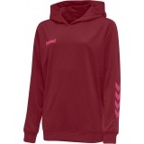 Sudadera de Balonmano HUMMEL Promo Hoodie 208317-3583