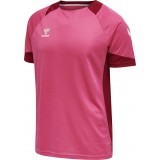 Camiseta de Balonmano HUMMEL HmlLead Poly Jersey 207393-3576