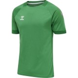 Camiseta de Balonmano HUMMEL HmlLead Poly Jersey 207393-6235