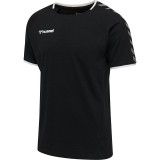 Camiseta Entrenamiento de Balonmano HUMMEL HmlAutenthic Training Tee 205379-2114